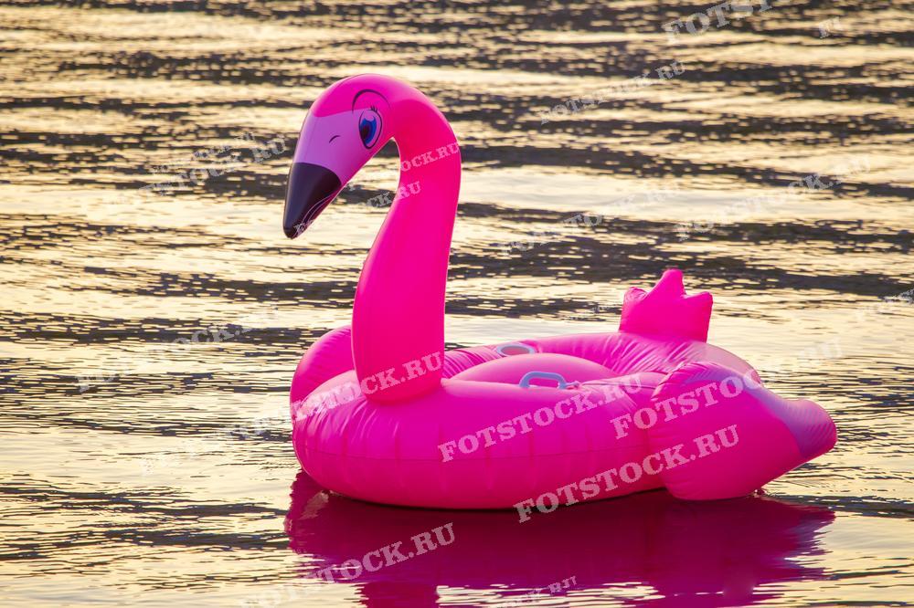 Фотография изображает розовый надувной фламинго, плавающий на воде в лучах заката. На фоне золотистое отражение воды, создающее теплую и спокойную атмосферу летнего вечера.