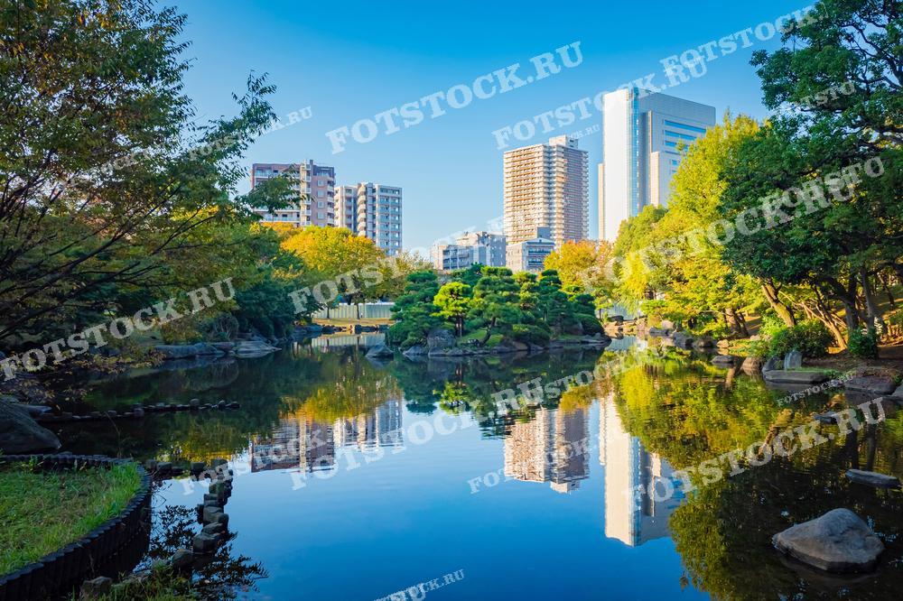 Фотография показывает спокойный японский сад с озером в Токио, окружённый зеленью и деревьями. Водоём отражает современные высотные здания, создавая контраст между природой и урбанистическим пейзажем. Идеальное сочетание архитектуры и природной красоты в столице Японии.