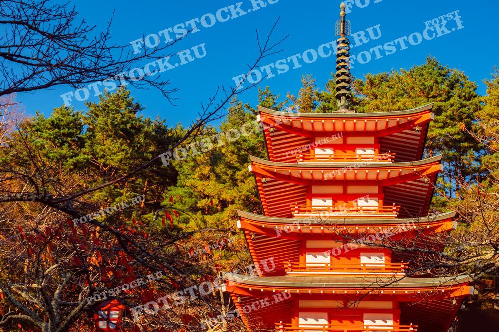 Классическая японская пагода с красными элементами архитектуры возвышается на фоне густого зеленого леса. Яркие осенние листья и чистое синее небо придают изображению гармоничность и спокойствие. Это здание в традиционном японском стиле воплощает древнюю культуру и религиозные традиции, символизируя связь природы и архитектуры.