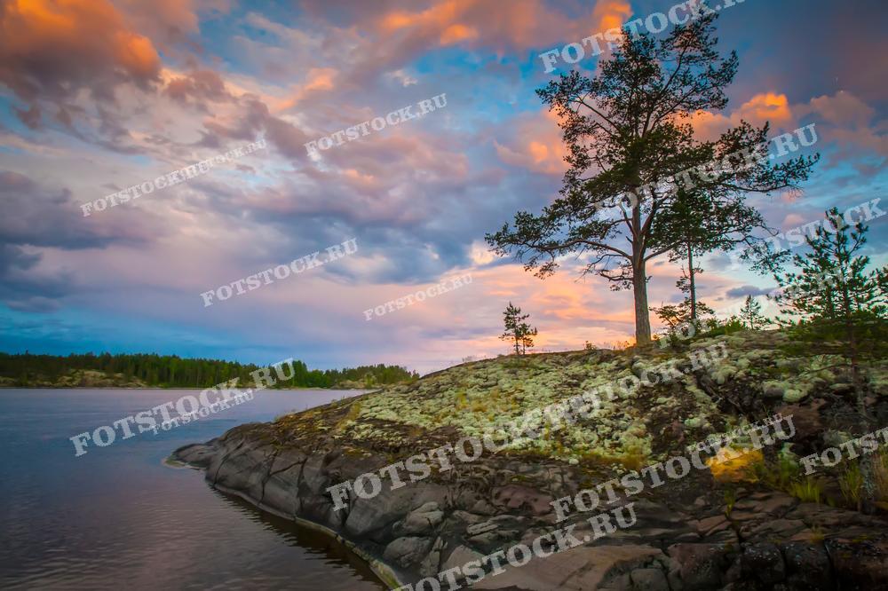 Фотография запечатлела закат над Ладожским озером в Карелии. Одинокое дерево стоит на скале, окруженное красочными облаками, которые отражаются в спокойной воде озера. Этот живописный вид подчеркивает природную гармонию и спокойствие, характерные для карельских пейзажей. Ладожское озеро славится своими красивыми закатами и уникальными ландшафтами.