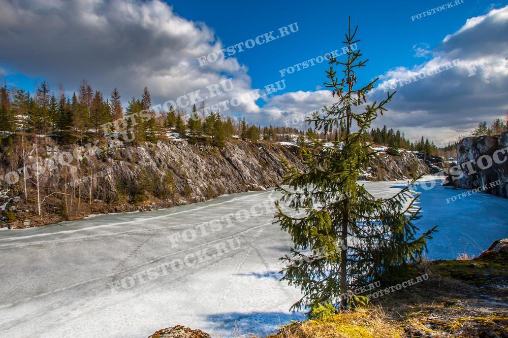 На фотографии изображён мраморный карьер в горном парке Рускеала, расположенный в Карелии. На переднем плане видна зелёная ёлка, стоящая на фоне величественных скал и леса. Это популярное туристическое место привлекает множество посетителей благодаря своей природной красоте и историческому значению.