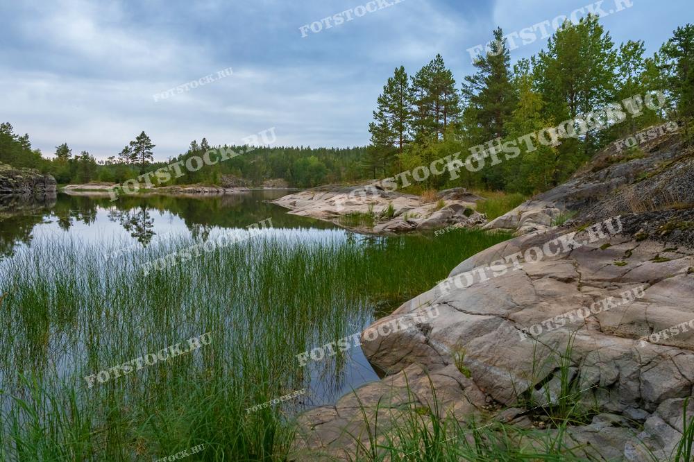 На фотографии изображён спокойный пейзаж Ладожских шхер в Карелии. Вода озера отражает густую зелень камышей и окружающих деревьев, создавая иллюзию зеркала. Каменистый берег и лесистые участки дополняют картину, подчёркивая дикий и нетронутый вид карельской природы. Это место идеально подходит для уединённого отдыха и любования природными красотами.