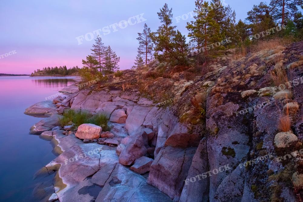На фотографии представлен вечерний пейзаж Карелии с видом на тихую водную гладь. Нежные оттенки заката окрашивают небо в розовый и фиолетовый цвета, которые отражаются в воде. Скалистый берег, усеянный валунами и небольшими кустами, добавляет картине суровости северного ландшафта. Съемка в сумеречное время подчеркивает тихую красоту природы этого места, что делает снимок подходящим для использования в статьях о природе, туристических гидах или как фон для релаксационных и медитативных материалов.