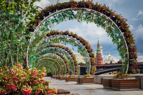 На фотографии запечатлены изящные дуги из цветов и зелени, расположенные вдоль набережной Москвы-реки. Уютные скамейки и цветочные композиции стали частью городского оформления. Эти арки создают умиротворенную атмосферу, а вид на Московский Кремль через цветочные рамы придает сцене особую гармонию.

Фотография подходит для создания печатных открыток или использования в тематических статьях о городской эстетике.