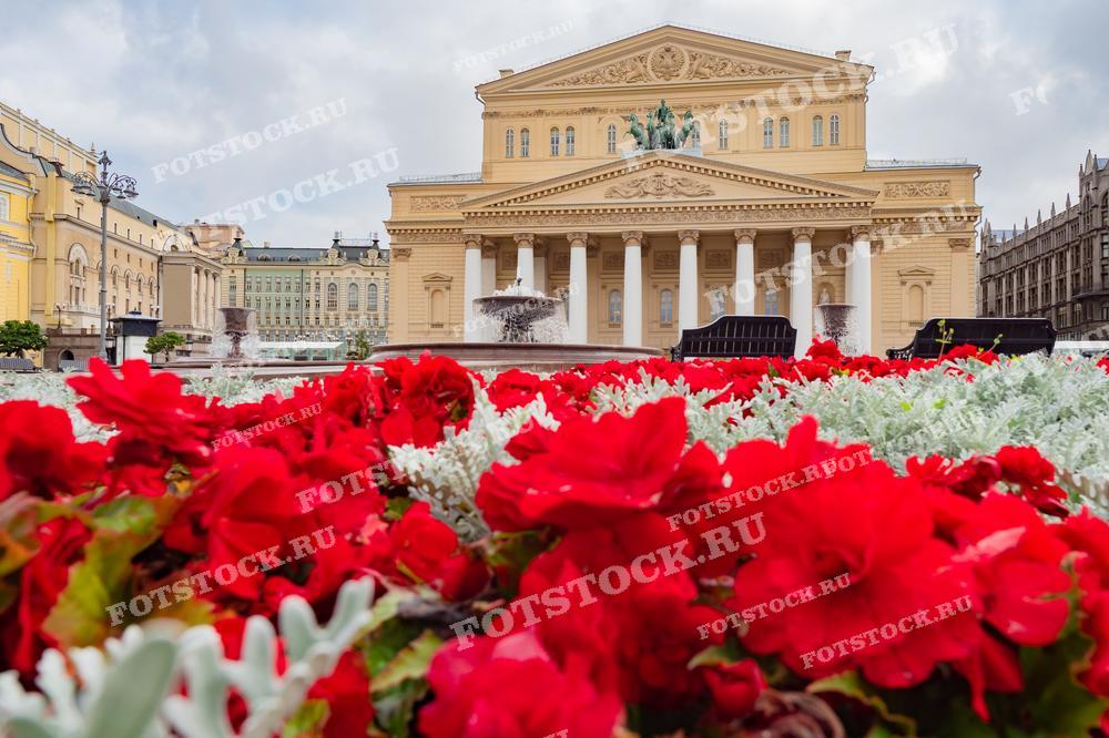 На фотографии изображен Большой театр в Москве, перед которым цветут яркие красные цветы.