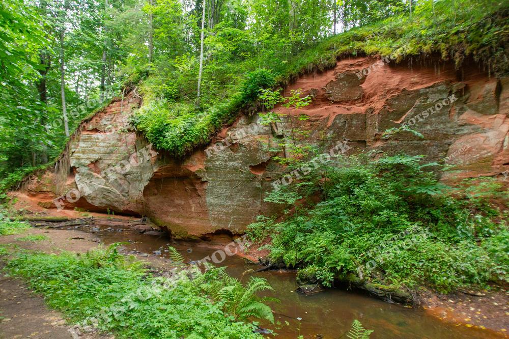 На фотографии изображена красная известковая скала, расположенная в лесу Псковской области. У ее основания протекает ручей, окруженный густой зеленью и папоротниками. Этот природный пейзаж отражает спокойствие и красоту России.