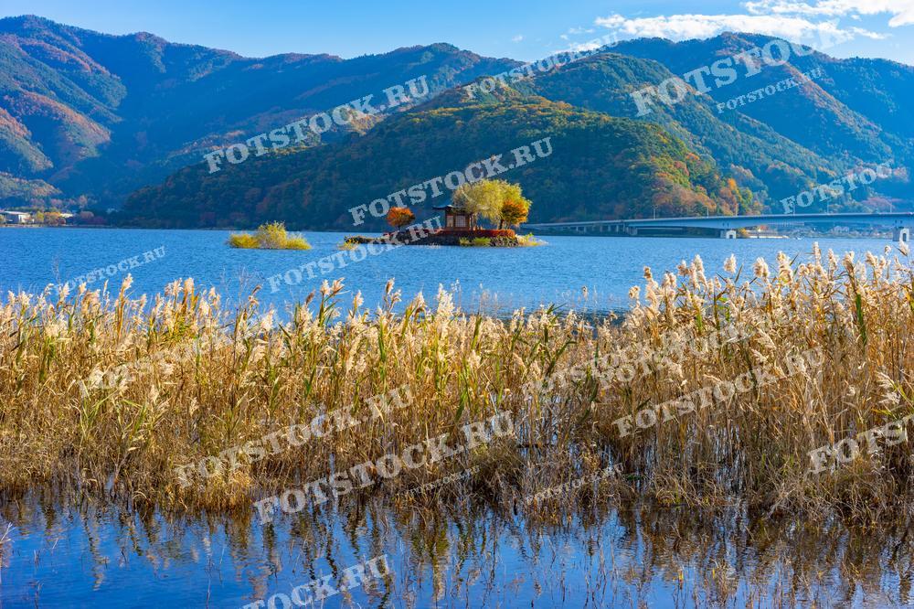 Фотография изображает озеро Кавагути в Японии с небольшим островом, на котором расположен традиционный павильон, окружённый осенними деревьями. На заднем плане возвышаются горы, покрытые лесами, создавая гармоничный природный пейзаж. Камыши на переднем плане добавляют ощущение спокойствия и уединённости.